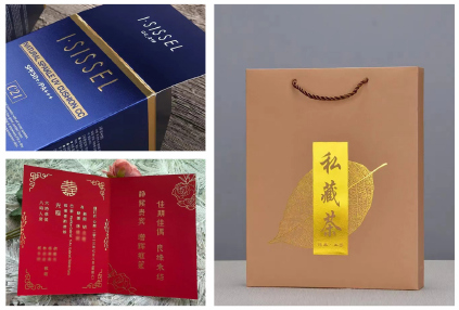 PRY-95 Máy đúc nóng tự động với servo 6